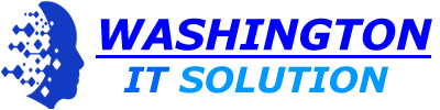 Washington IT Solution logo 1